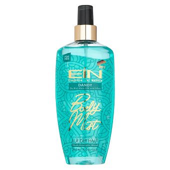 EIN DANDY MEN BODY MIST بادی اسپلش مردانه دندی ای آی ان